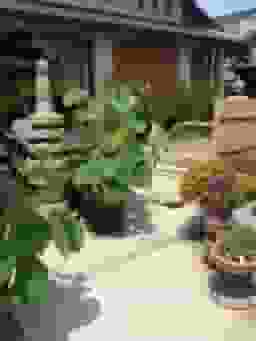 哀愍寺