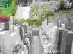 南平浄苑