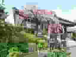 光照寺