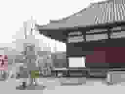 額安寺霊園