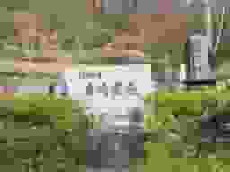 唐崎霊苑
