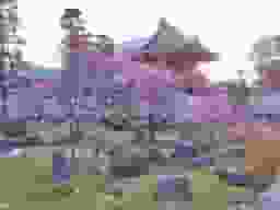 常光寺