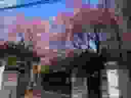 聖輪寺墓苑