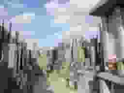 本立院