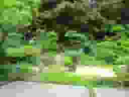 浄楽寺　豊かな自然