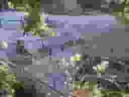 正覚寺　整備された区画