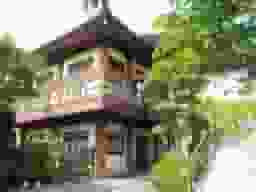 本行寺　木々が美しい本堂