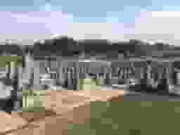墓山墓地