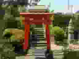 蓮花寺 のうこつぼ