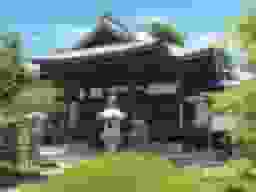 新緑が心地いい苑内
