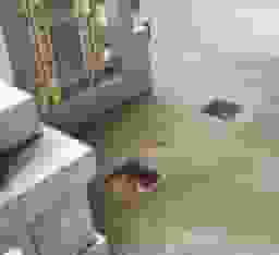 墓地区画