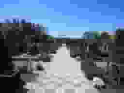 さいたまメモリアルパーク　緑あふれる広い参道