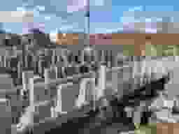 ひまわり墓苑　区画整理された墓域