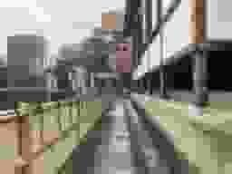 證誠寺