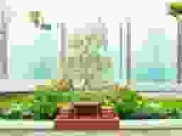 谷中フラワージュ