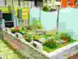 谷中フラワージュ