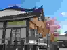 遍照院