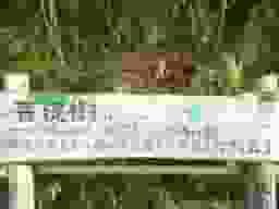 徳林寺墓苑