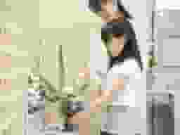 蔵前陵苑