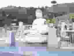 徳林寺墓苑