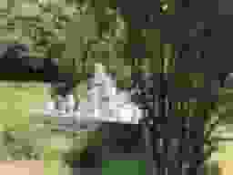 こだに墓苑