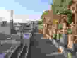 放光院