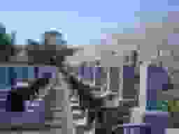 庄和苑