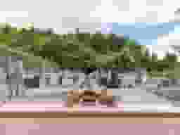 多摩聖地霊園