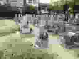 圓成寺墓地