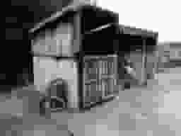 蔭涼寺