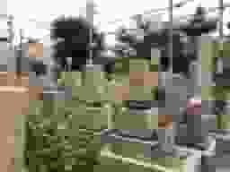 中道墓地