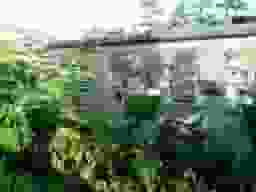 徳泉寺墓苑