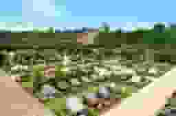 秋津ふれあいパークの全景