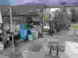 法善寺