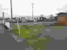 いずみ霊園