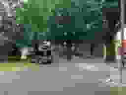 ぎんなん霊苑