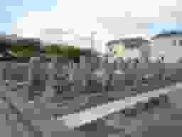 慈眼寺墓地