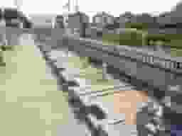慈眼寺墓地