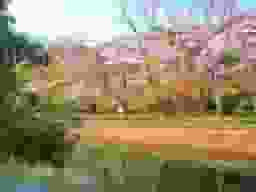 鎌倉湖墓苑