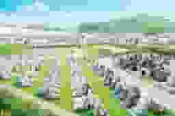 ひだまりの里　緑豊かな霊園全景