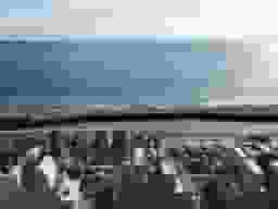 湘南二宮霊苑