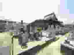 新品治墓地