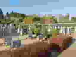 メモリアルパーク東金