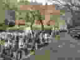 延仁寺