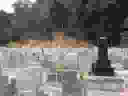 興聖寺