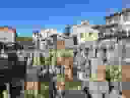 浄篤院