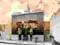泊舩寺 樹木葬