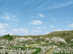 日蓮宗 寳祐山 大法寺・まや霊園　季節の花が美しい霊園全景