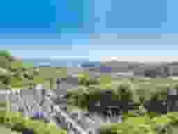 三浦霊園の墓地全景