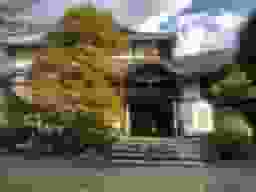 青蓮院